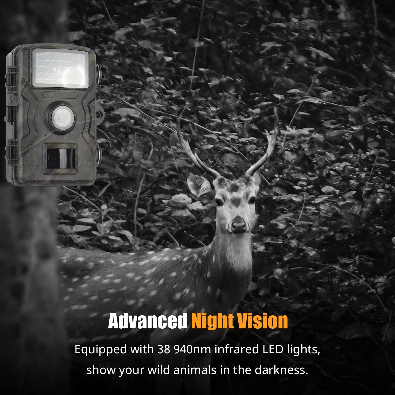 1080p Night Vision Trail Camera for Hunting & Wildlife