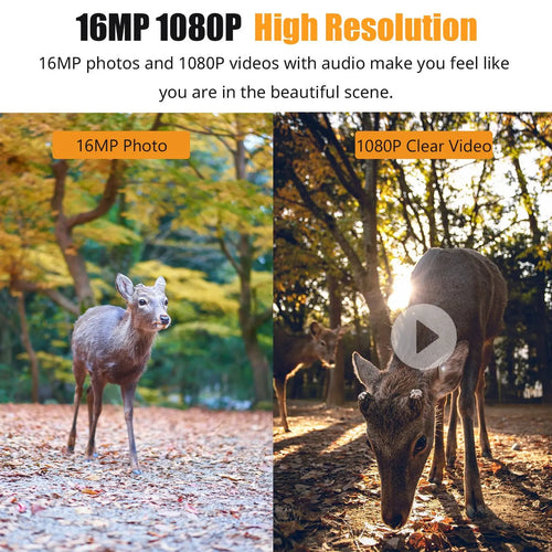1080p Night Vision Trail Camera for Hunting & Wildlife