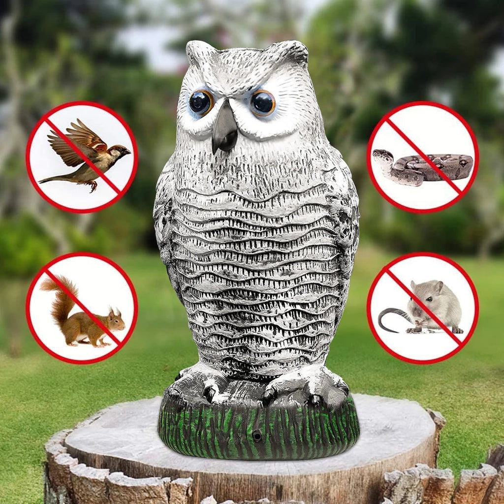 Realistic Owl Decoy – Humane Bird Repeller for Gardens
